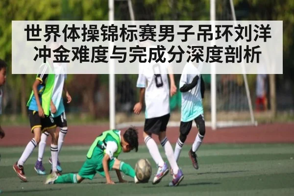 世界体操锦标赛男子吊环刘洋冲金难度与完成分深度剖析